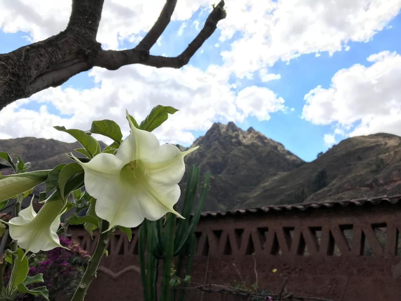 Guest house Inca Pisac